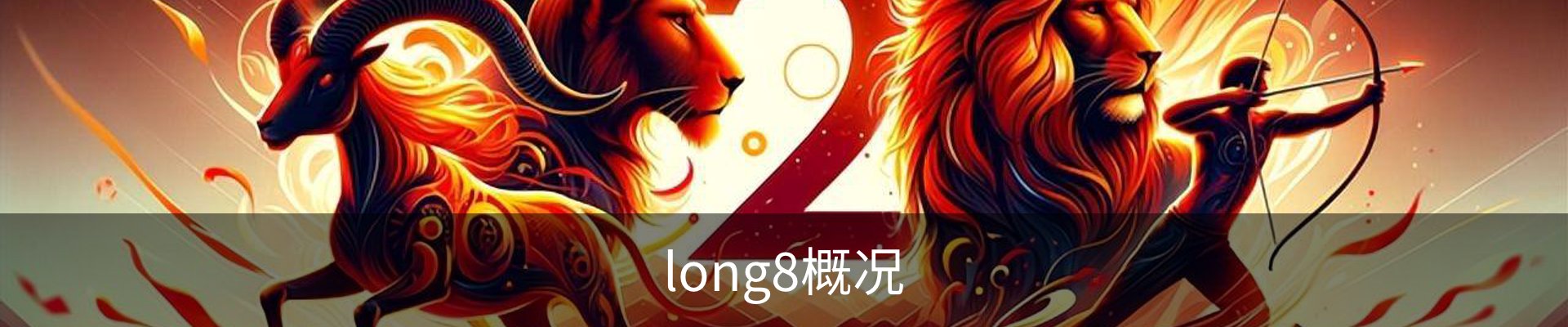 long8概况